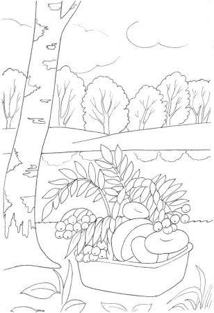 Раскраски на тему осень