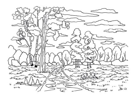 Осенний лес раскраска для детей