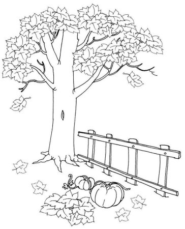 Осенний лес раскраска для детей