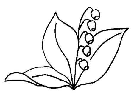 Ландыш Майский раскраска