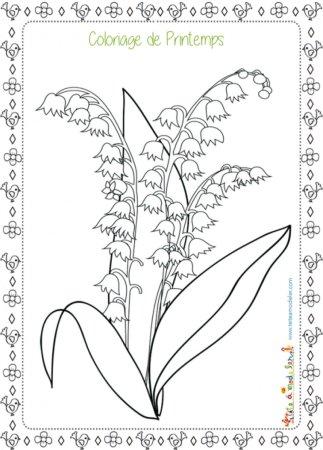 Ландыш Майский разукрашка