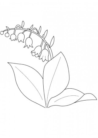 Ландыш Майский