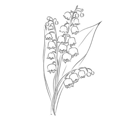 Разукрашка цветы ландыша