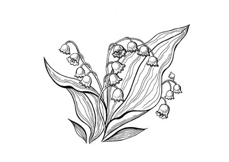 Ландыш картинка раскраска