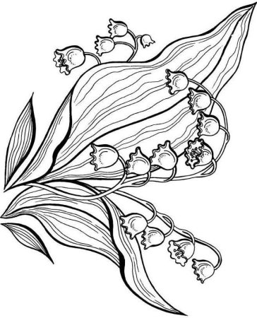 Весенние цветы Ландыш в карандаше