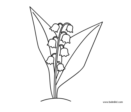 Ландыш Майский раскраска