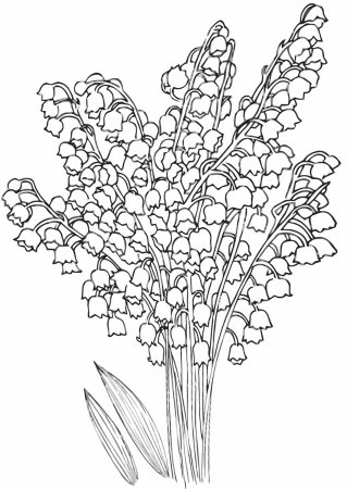 Ландыш раскраска