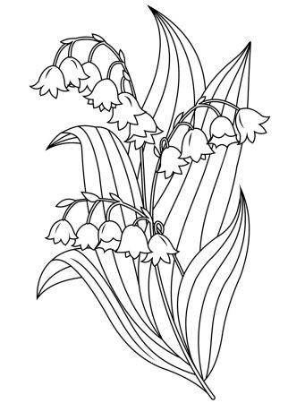 Ландыши карандашом для срисовки