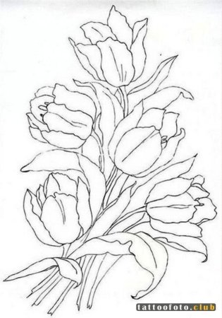 Тюльпан раскраска