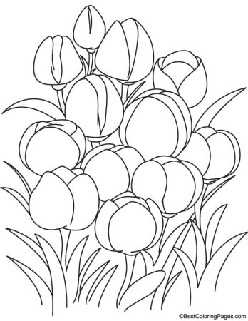 Раскраска тюльпаны в вазе