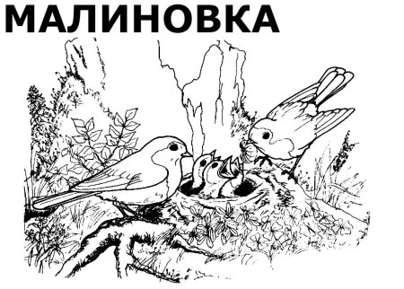 Разукрашки перелетные птицы