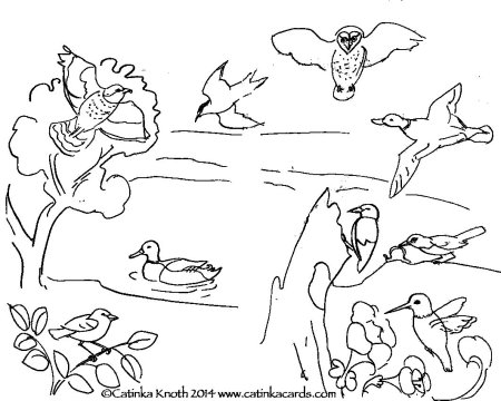 Перелётные птицы раскраски для дошкольников