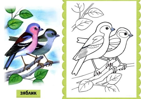 Перелетные птицы раскраска для детей