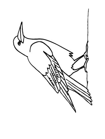 Раскраска "перелетные птицы"