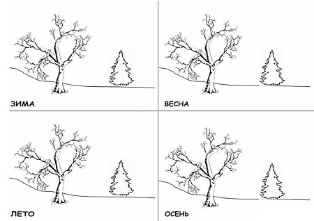 Раскраска зима Весна лето осень
