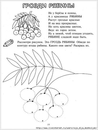 Рябинка задание для дошкольников