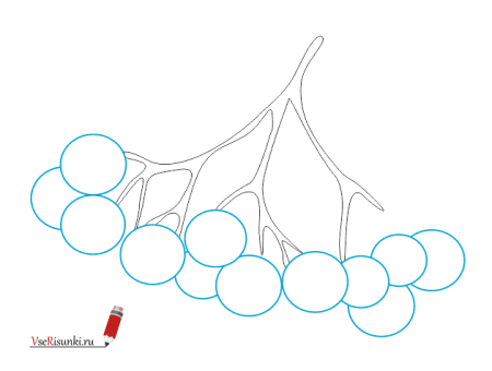 Кисть рябины раскраска для детей