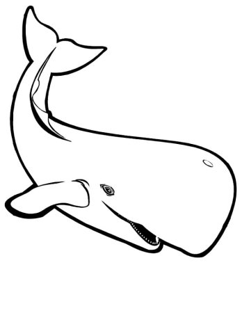 Синий кит раскраска
