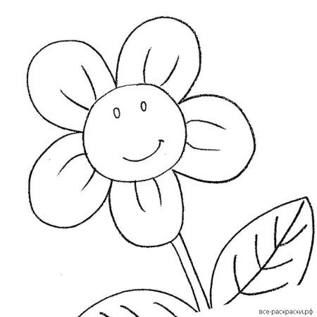 Раскраска цветочек