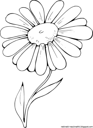 Ромашка раскраска