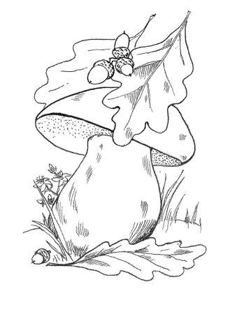 Осенний пейзаж раскраска