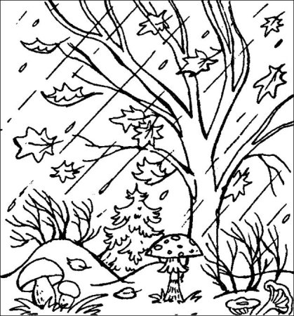 Натюрморт раскраска