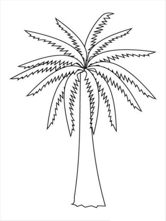 Пальма раскраска