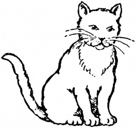 Кошка черно белая раскраска