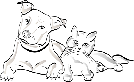 Раскраски котики и собачки