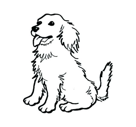 Кошки и собаки. Раскраска