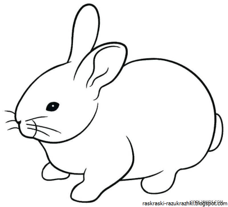 Кролик раскраска