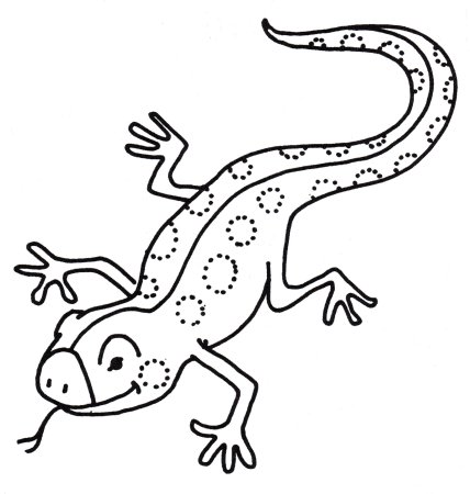 Ящерица раскраска