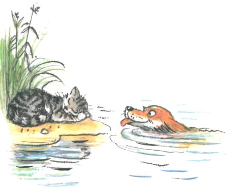 Раскраска кошечки собачки