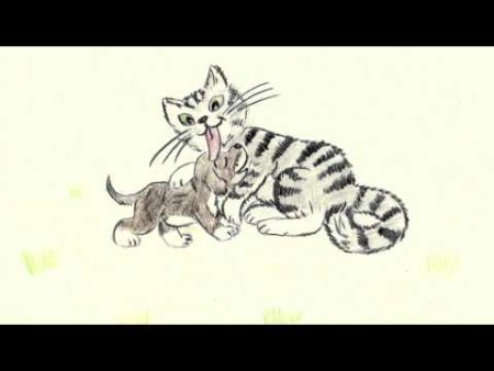 Кошки и собаки. Раскраска