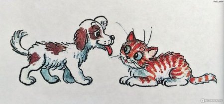 Контурные рисунки собаки и кошки