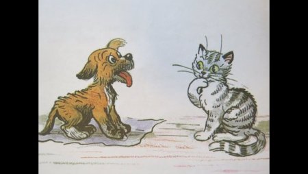 Кошки и собаки. Раскраска