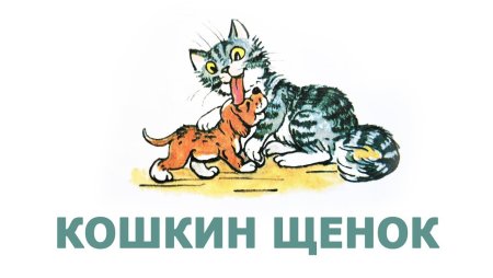 Раскраски котов и собак