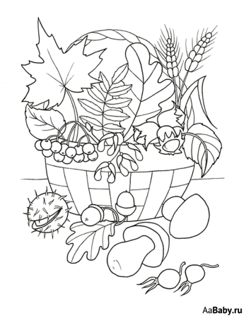 Осеннее дерево раскраска