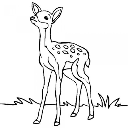 Олень раскраска