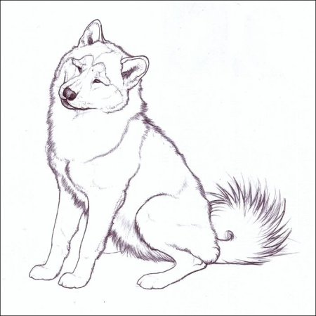 Раскраска Аляскинский маламут