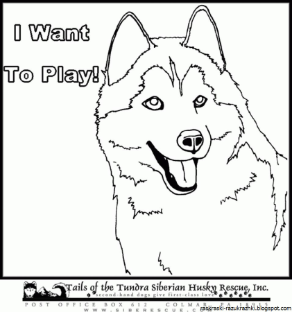 Собака для срисовки