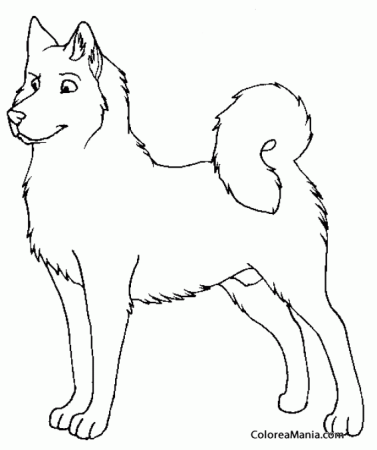 Разукрашки собаки хаски