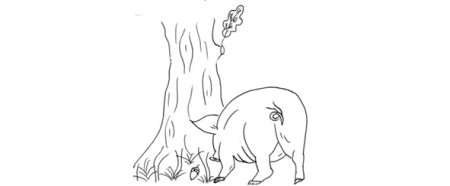 Раскраска басни Крылова свинья под дубом