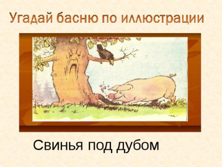 Раскраска кабанчики в лесу