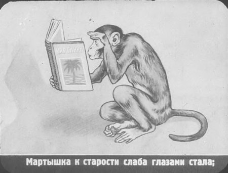 Мартышка к старости