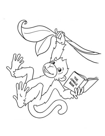 Мартышки с книжками раскраска