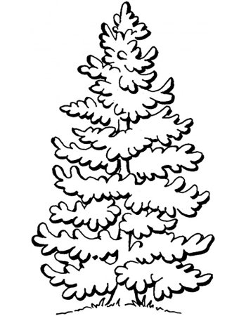 Раскраска Дерево зимой