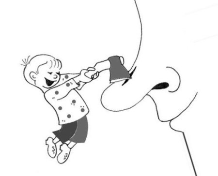 Фразеологизм заруби на носу