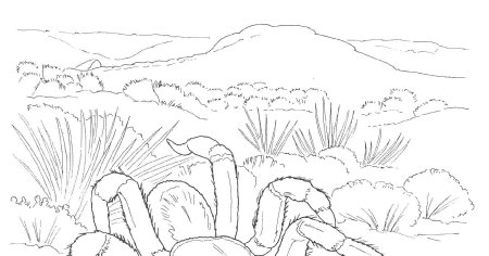 Раскраска пустыня для детей
