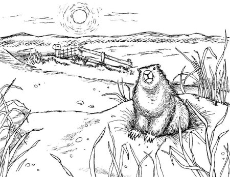 Крот раскраска